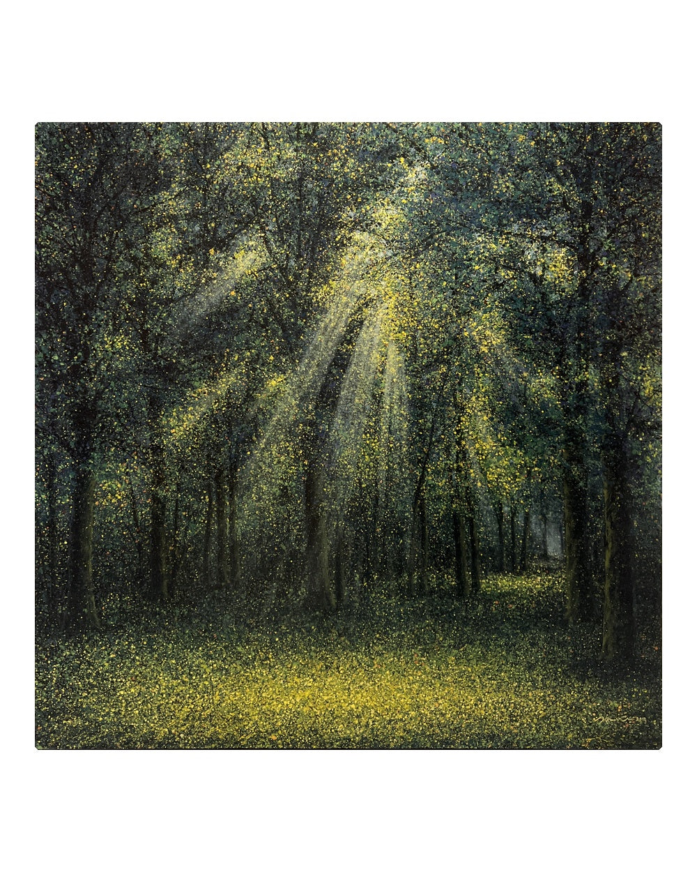 The Season of Love - Light of Hope - Narate Kathong