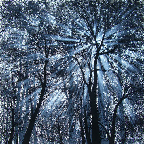 The Season of Love - Arising Ray - Oil & Acrylic on Canvas by Narate Kathong